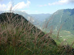 DSC05028.JPG