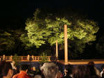 DSC05137.JPG
