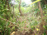 DSC05178.JPG