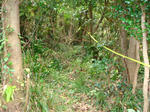 DSC05180.JPG