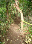 DSC05184.JPG