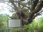 DSC05222.JPG