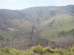 DSC05227.JPG