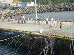 DSC05238.JPG