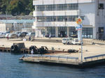 DSC05250.JPG