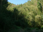 DSC05253.JPG