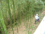 DSC05283.JPG