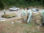 DSC05285.JPG