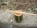 DSC05286.JPG