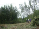 DSC05293.JPG