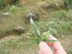 DSC05400.JPG