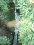 DSC05406.JPG