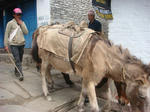 DSC05459.JPG