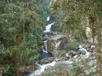 DSC05465.JPG