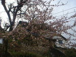 DSC05493.JPG