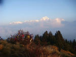 DSC05718.JPG