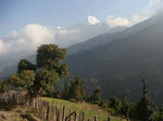 DSC05751.JPG