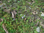 DSC05781.JPG