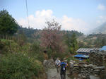 DSC05784.JPG