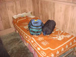 DSC05809.JPG