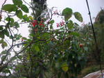 DSC05811.JPG