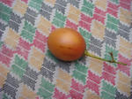 DSC05812.JPG