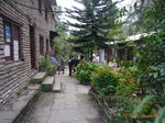 RIMG0323.JPG