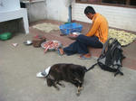 DSC05820.JPG