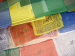 DSC05945.JPG