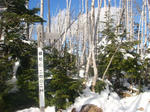 DSC05974.JPG