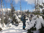 DSC05975.JPG