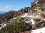 DSC05982.JPG