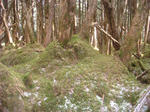 DSC05996.JPG