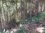 DSC00008.JPG
