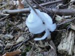 DSC00055.JPG