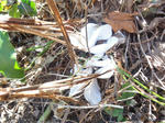 DSC00058.JPG