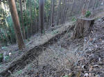 DSC00060.JPG