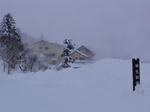 DSC00075.JPG