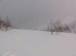 DSC00072.JPG