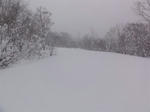 DSC00093.JPG