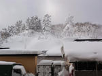 DSC00115.JPG