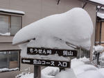 DSC00117.JPG