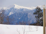 DSC00175.JPG