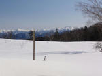 DSC00174.JPG