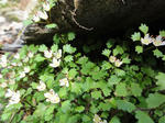 DSC00189.JPG