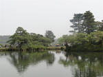 DSC00370.JPG