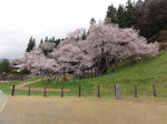 DSC00219.JPG