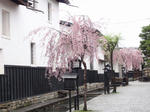 DSC00228.JPG