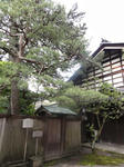 DSC00340.JPG