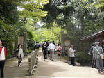 DSC00347.JPG